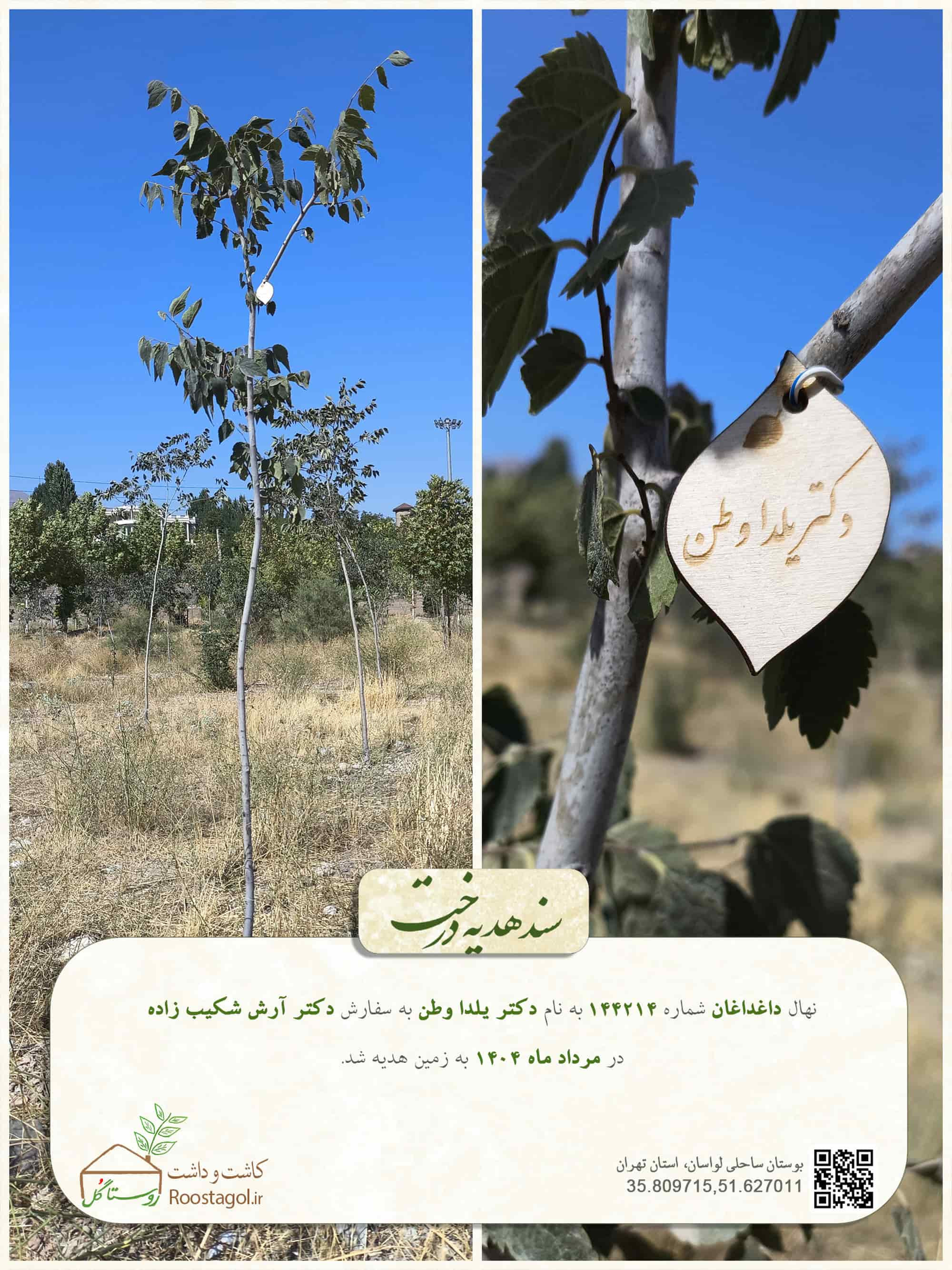 دکتر یلدا وطن
